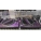Riverniciatura Technics SL1200MK2 VIOLA METAL